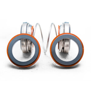 Silicone-Carbide Shaft Seal